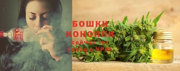 гидра Осташков
