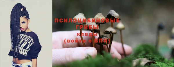 jwh Осинники